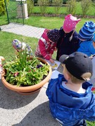 Tvoříme obrázky z pampelišek